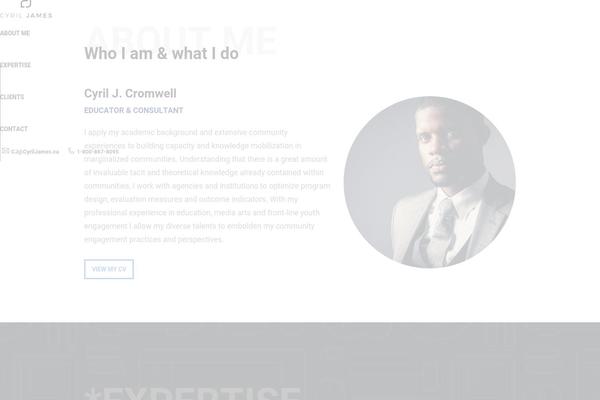Site using Recent Tweets Widget plugin