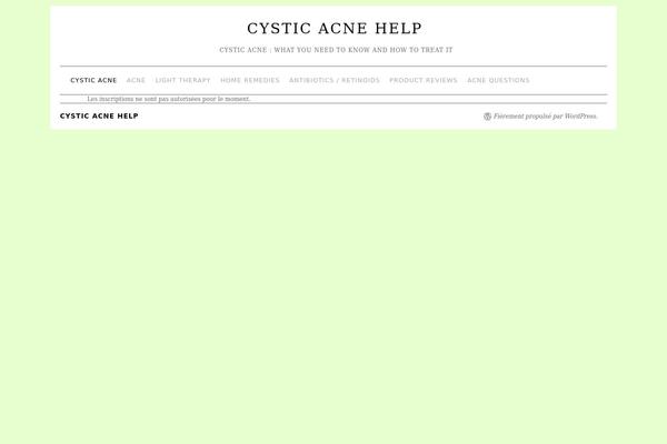 Brunelleschi theme site design template sample