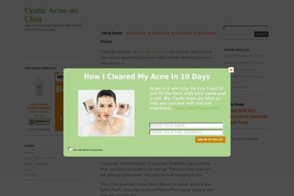 Ari theme site design template sample