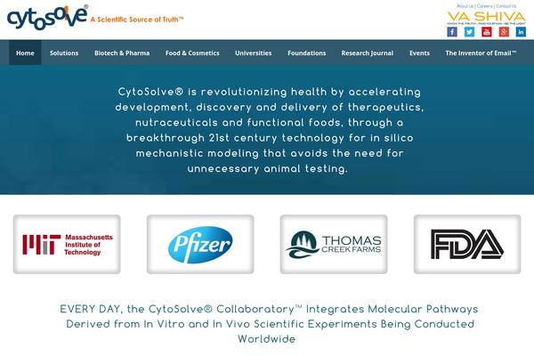 Site using Advanced Responsive Video Embedder plugin