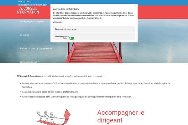 Site using Sarbacane Desktop plugin