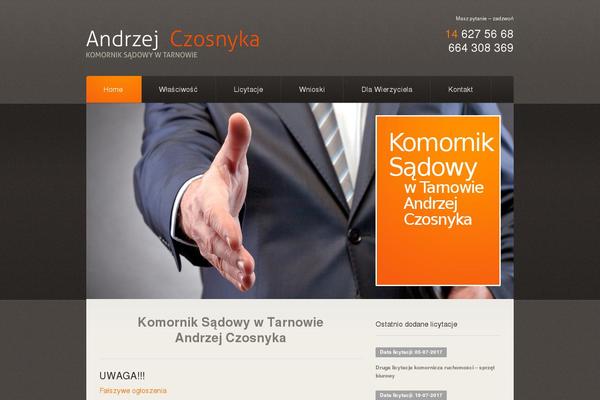 Theme1745 theme site design template sample