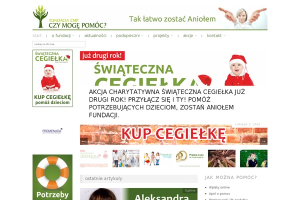 Fundacja theme site design template sample