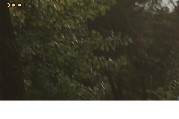 Site using Mang Board WP plugin