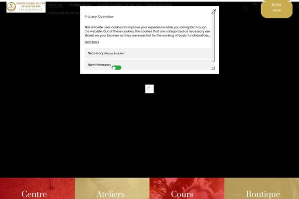 Site using Jogasana-theme-functionality plugin