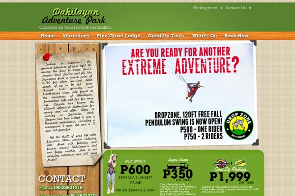 Basic theme site design template sample