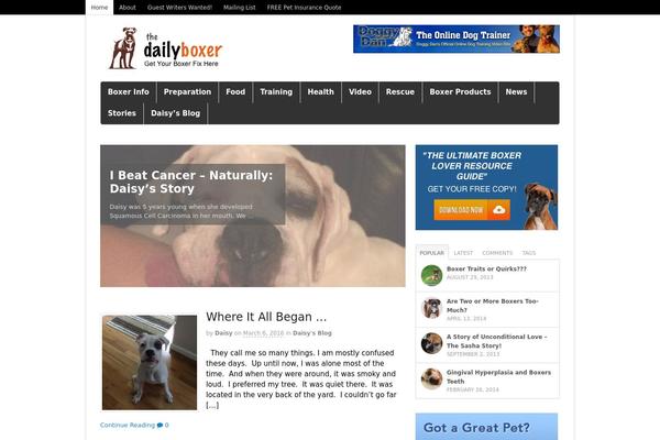 Canvas theme site design template sample