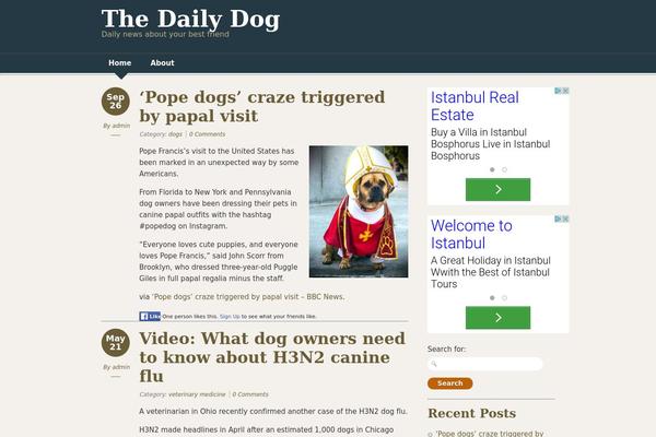 Designfolio theme site design template sample