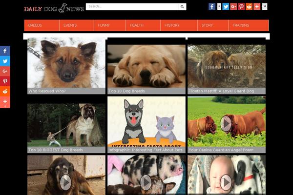 dailydognews.com site used Bulletmetro