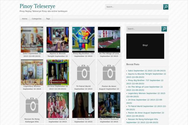 SoSimple theme site design template sample