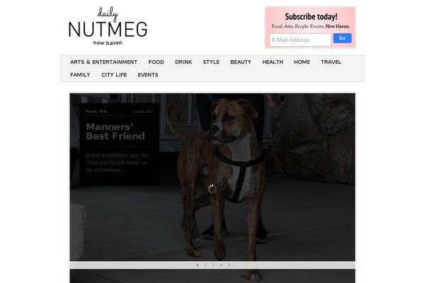 Editorial theme site design template sample