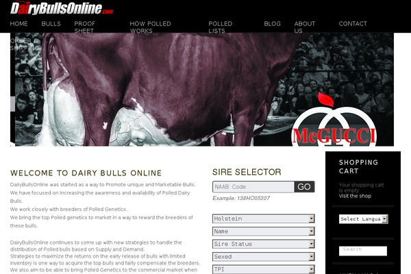 Fundify theme site design template sample