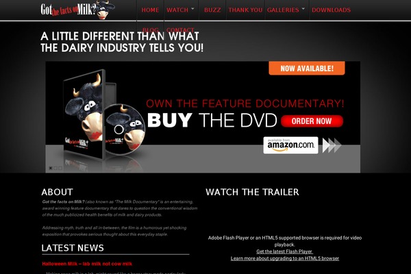 Multidesign theme site design template sample