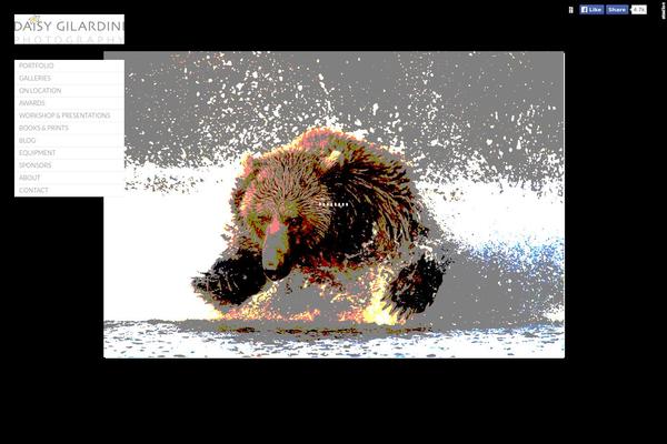 Photo Nexus theme site design template sample