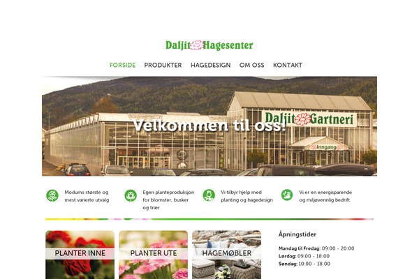 Customtheme theme site design template sample