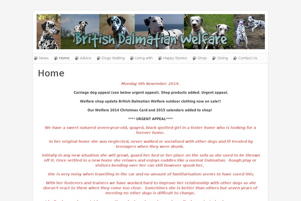 Nano2 theme site design template sample