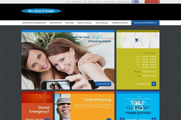 Mainplatform theme site design template sample