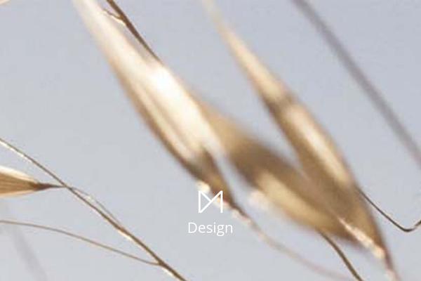 HalfCreative theme site design template sample