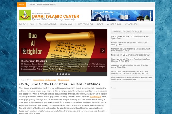 NewsLayer theme site design template sample