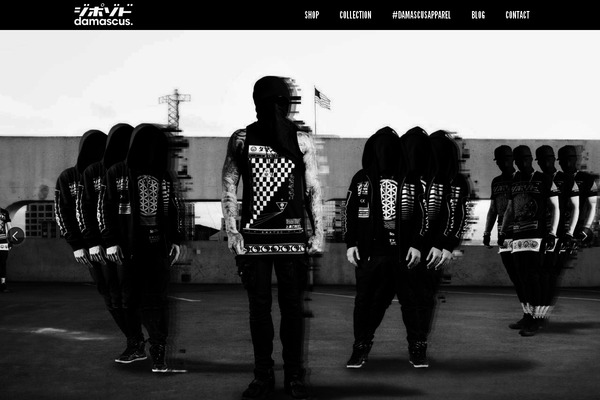 feather11 theme websites examples