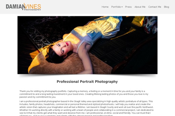 Pinnacle Premium theme site design template sample