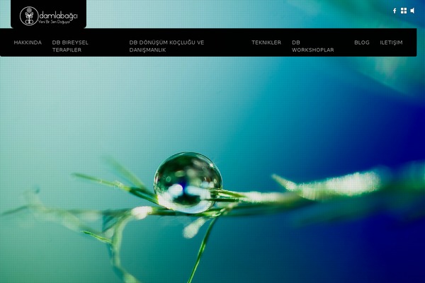DK theme site design template sample