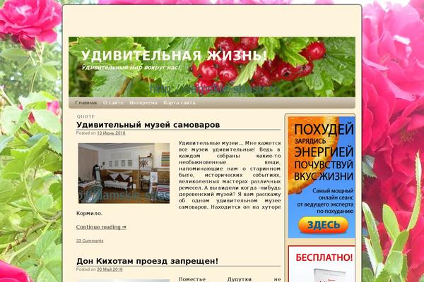 Reboot_child theme site design template sample