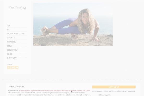 danadamara.com site used Socha