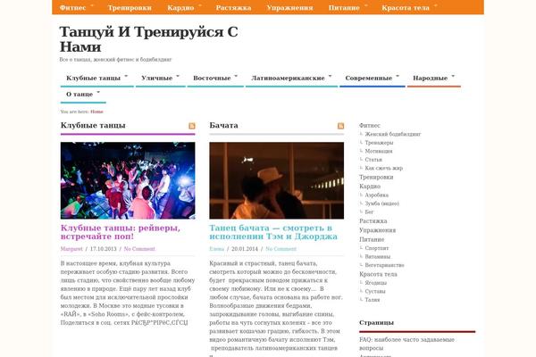 Aaika theme site design template sample
