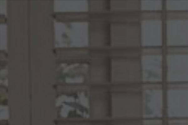 Brooklyn theme site design template sample