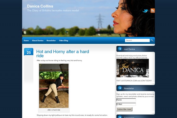 intrepidity theme site design template sample