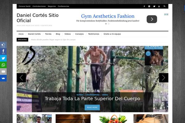 STELLA theme websites examples