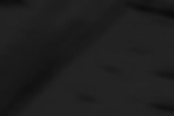 Site using WP Retina 2x plugin