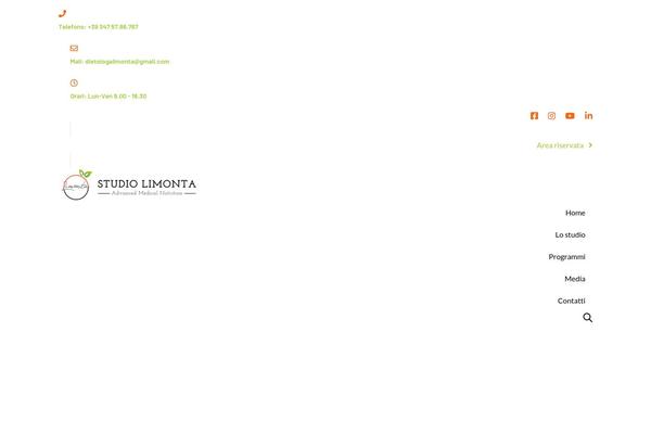 Ave theme site design template sample