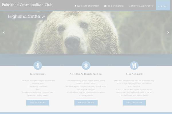 Site using WP SVG Icons plugin