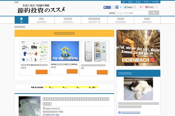 danna-salary.com site used 039_heidi_custom