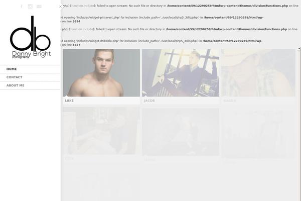 Division theme site design template sample