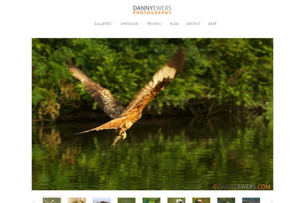 The Cotton theme site design template sample