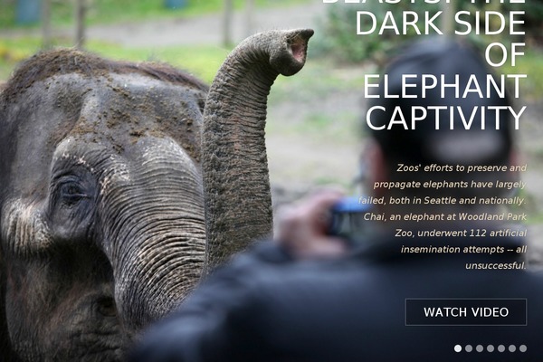 Wall Street theme site design template sample