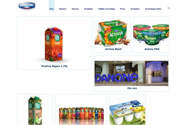 Danone theme site design template sample