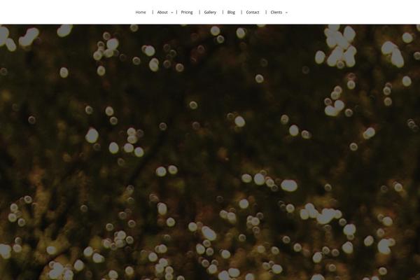 Amora theme site design template sample