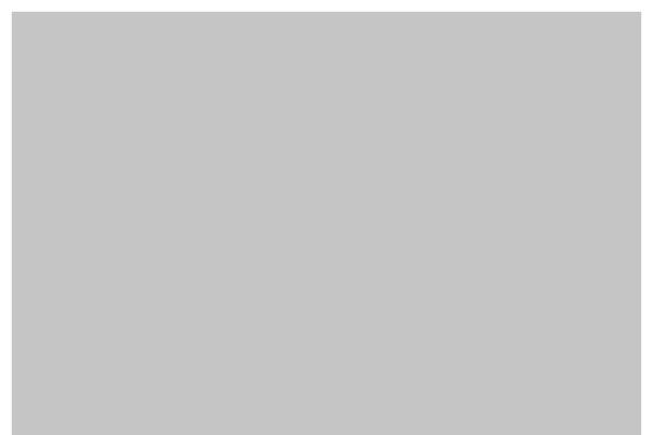 Ave-child theme site design template sample