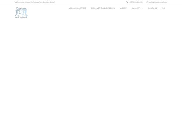 Site using Eagle-booking plugin