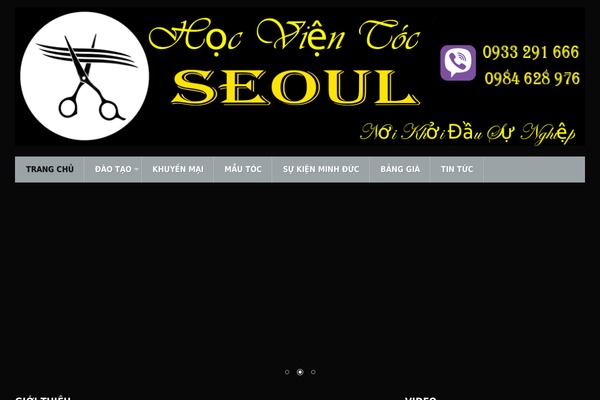 daotaocattoc.com site used Salon