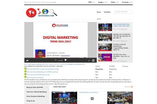 VideoPro theme site design template sample