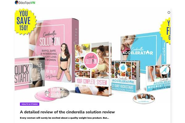 Seofy theme site design template sample