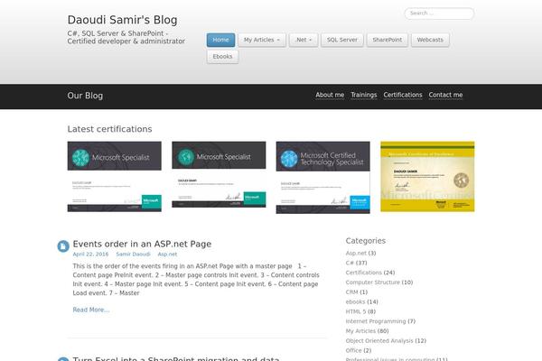 Business lite theme site design template sample