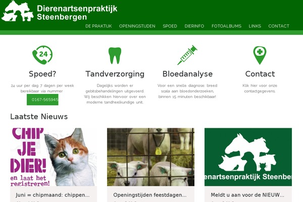 dap-steenbergen.nl site used Vethouse