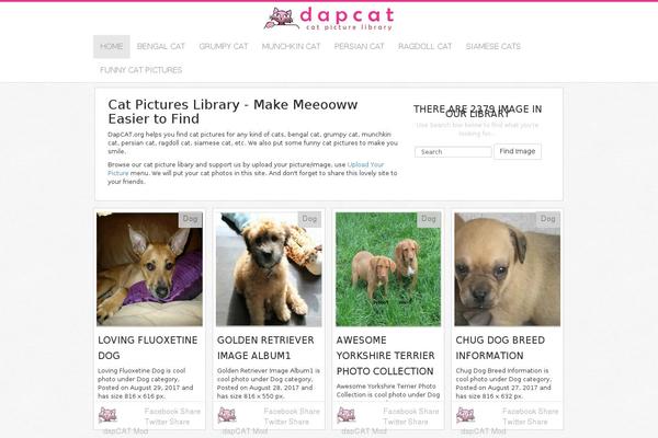 dapcat.org site used 1s3ng