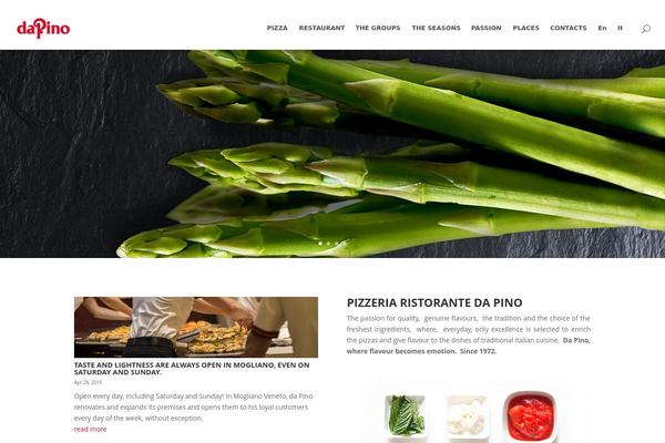 Divi theme site design template sample